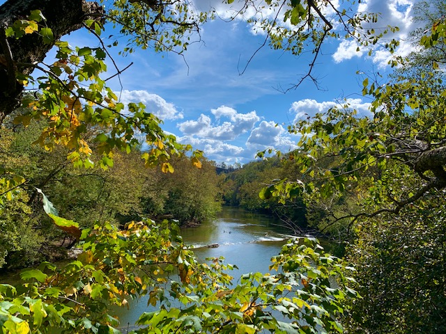 里基·巴頓/OAC 的克林奇河延伸