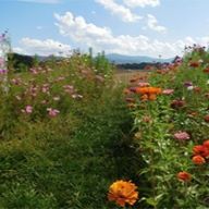 賈斯汀·克里斯蒂·施密特