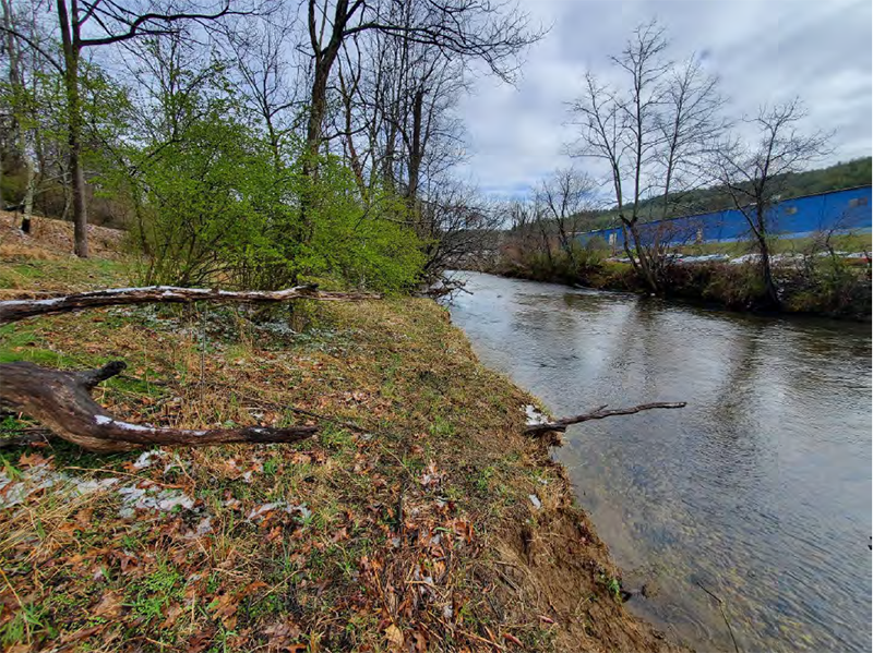 迪克森木材土地捐贈