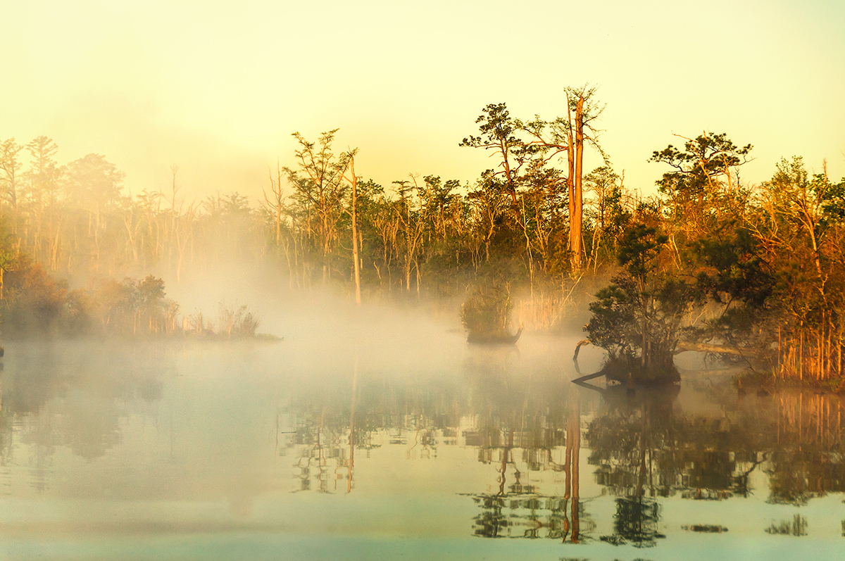 霧濛濛的北登陸河，榮譽獎，照片由艾瑞克摩爾拍攝