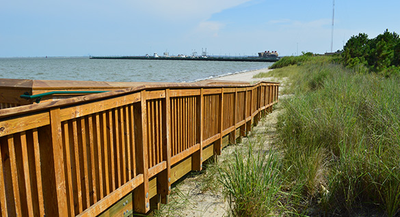 紐波特紐斯國王林肯公園照片提供紐波特紐斯公園，娛樂 & 旅遊局