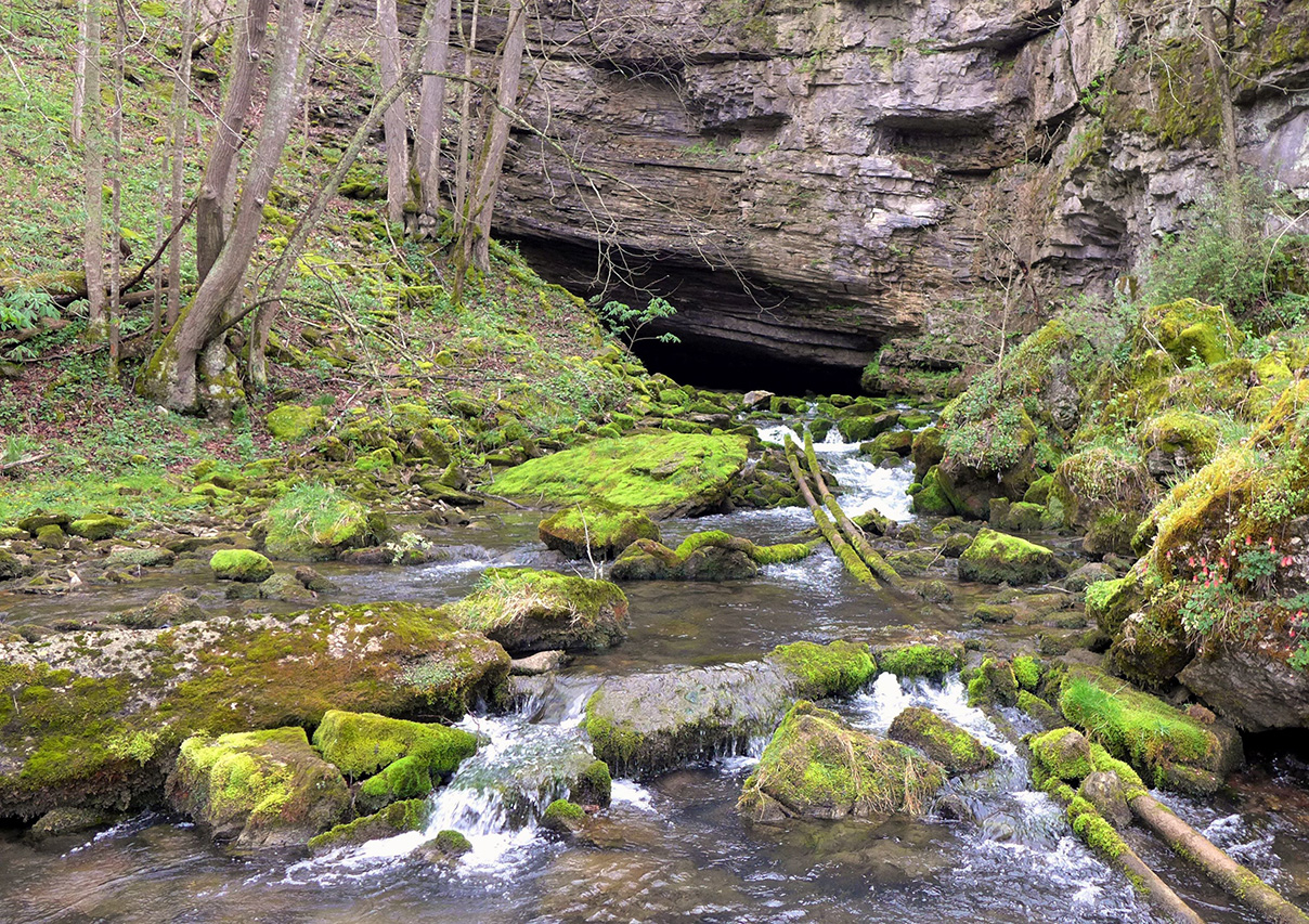 馬登春天。卡塔琳娜·菲科攝。