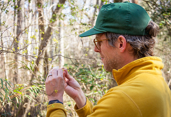 布拉德福德考試池香料花