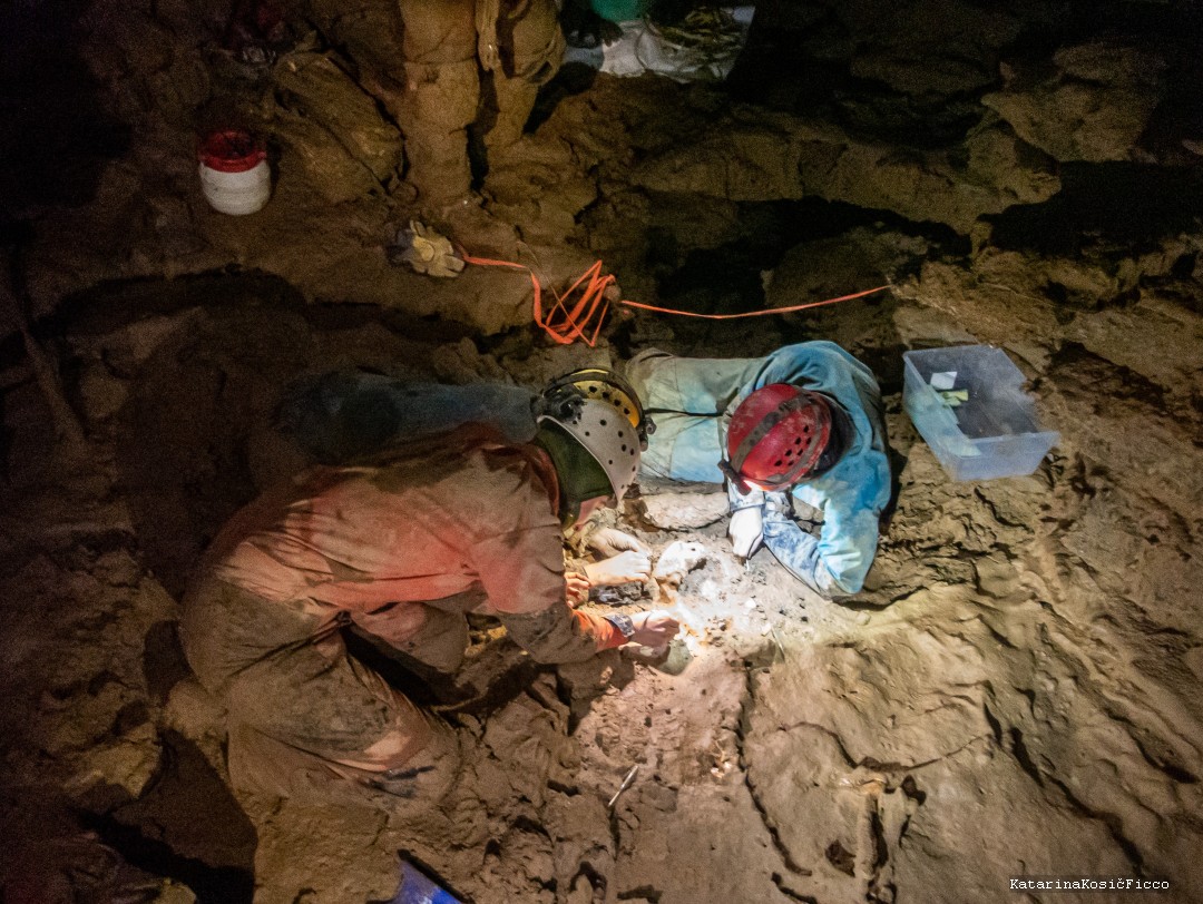 團隊細心地挖掘骨架。