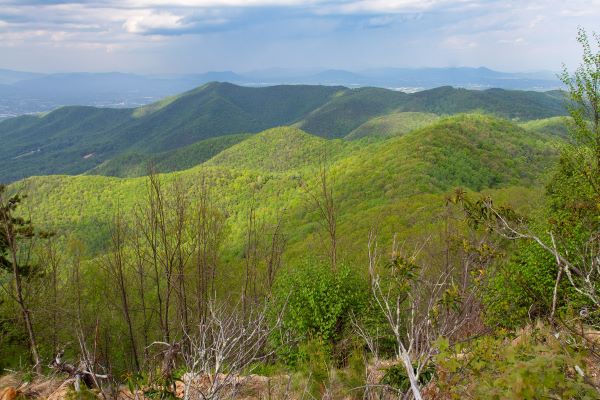貧山自然區保護區