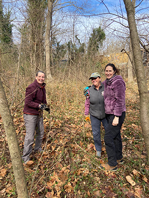 工作人員移除侵入物