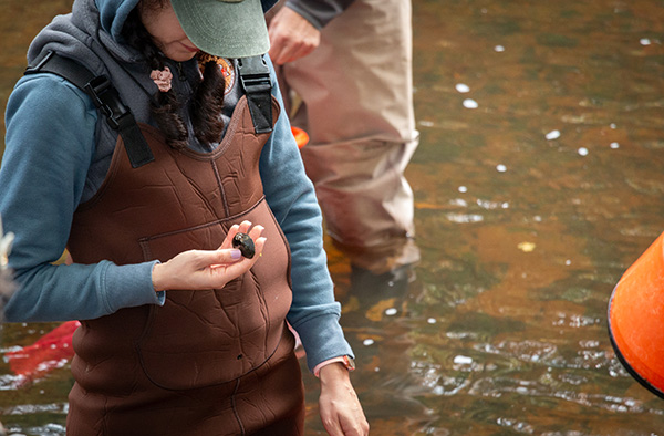 希瓦·托拉比安