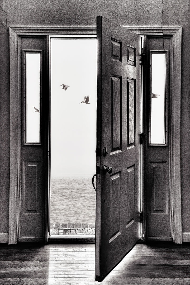 溫蒂‧尼爾森的《末日》