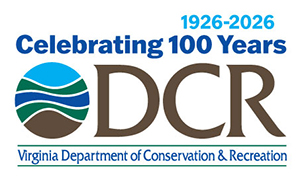 DCR 100 Logo