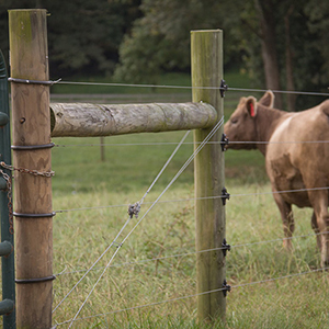 Guided hike of Crow's Nest Natural Area Preserve