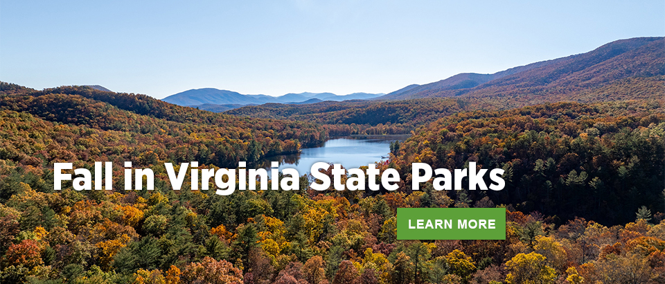 弗吉尼亞州立公園的秋天
