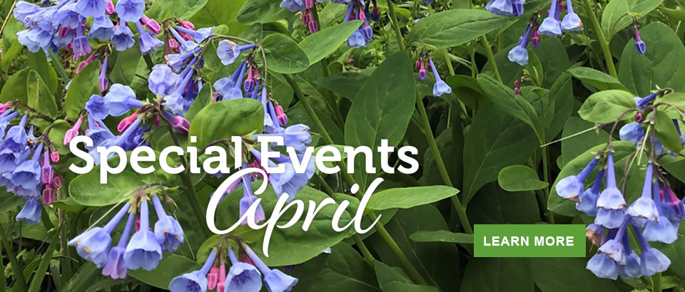 April Events in Virginia State Parks