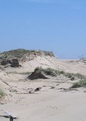 最新消息及活動