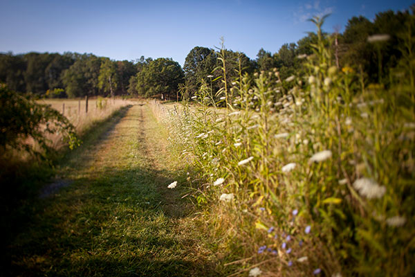 謝南多阿河州立公園。照片薩克斯曼攝影