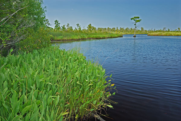 北蘭德河自然區保護區