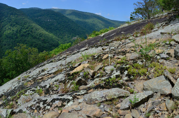 克勞福德斯諾布自然區保護區