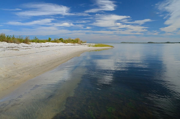 帕克斯沼澤自然區保護區