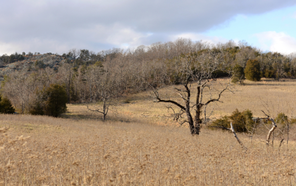 白色 Knob 自然保護區