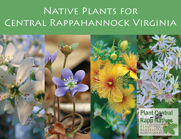 植物指南封面圖片