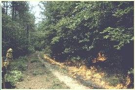 DCR 工作人員在楚布沙丘自然區保護區進行指定燒傷