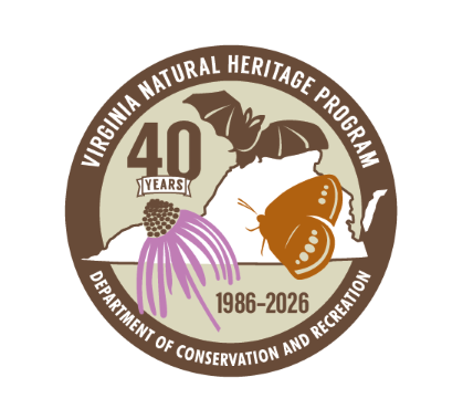 DNH 40th anniversary logo