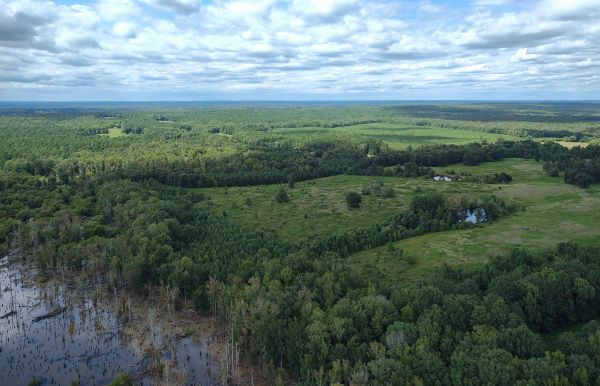 南部薩凡納自然保護區