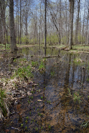 高能潮河的照片