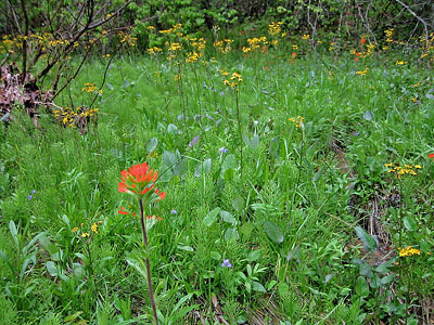 高能潮河的照片