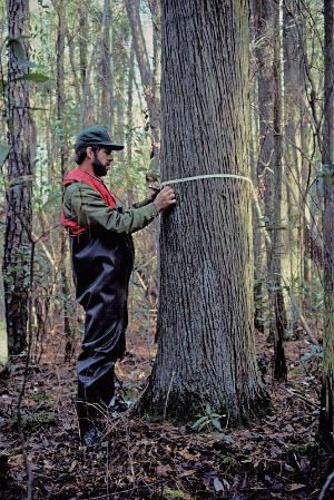高能潮河的照片