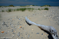 北大西洋上海灘/過洗公寓-CEGL 004400 北大西洋上海灘/過洗公寓-CEGL 004400