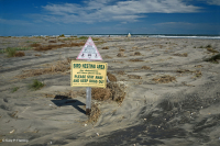 北大西洋上海灘/過洗公寓-CEGL 004400 北大西洋上海灘/過洗公寓-CEGL 004400