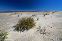 北大西洋上海灘/過洗公寓-CEGL 004400 北大西洋上海灘/過洗公寓-CEGL 004400