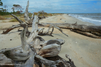 北大西洋上海灘/過洗公寓-CEGL 004400 北大西洋上海灘/過洗公寓-CEGL 004400