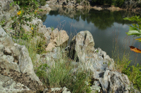 皮埃蒙特/中阿巴拉契亞河濱長草原 — CEGL 006478 皮埃蒙特/中阿巴拉契亞河濱長草原 — CEGL 006478