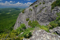高海拔脫落的荒野 (黑褐莓火焰/變形型) — CEGL 008508 高海拔脫落的荒野 (黑褐莓火焰/變形型) — CEGL 008508