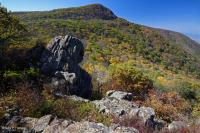 高海拔綠石荒野-CEGL 008536 高海拔綠石荒野-CEGL 008536