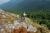 高海拔綠石荒野 — CEGL 008536 高海拔綠石荒野 — CEGL 008536