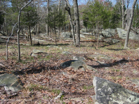 波托馬克河基岩露台硬盤森林 — CEGL 006209 波托馬克河基岩露台硬盤森林 — CEGL 006209