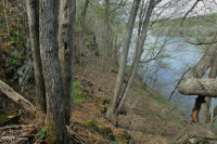 中阿巴拉契亞/皮埃蒙特低海拔豐富的巨石原森林 – CEGL 006471 中阿巴拉契亞/皮埃蒙特低海拔豐富的巨石原森林 – CEGL 006471