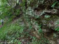 皮埃蒙特/中阿帕拉契亞馬菲克/石灰岩懸崖 — CEGL 006479 皮埃蒙特/中阿帕拉契亞馬菲克/石灰岩懸崖 — CEGL 006479