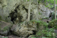 阿巴拉契亞克西里克瓦石懸崖 — CEGL 004476 阿巴拉契亞克西里克瓦石懸崖 — CEGL 004476