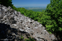 中阿巴拉契亞省低海拔酸性非血管懸崖/博爾德菲爾德 — CEGL 004142 中阿巴拉契亞省低海拔酸性非血管懸崖/博爾德菲爾德 — CEGL 004142