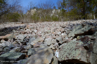 中阿巴拉契亞省低海拔酸性非血管懸崖/博爾德菲爾德 — CEGL 004142 中阿巴拉契亞省低海拔酸性非血管懸崖/博爾德菲爾德 — CEGL 004142