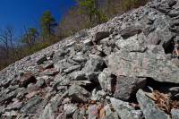 中阿巴拉契亞省低海拔酸性非血管懸崖/博爾德菲爾德 — CEGL 004142 中阿巴拉契亞省低海拔酸性非血管懸崖/博爾德菲爾德 — CEGL 004142