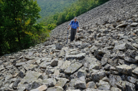 中阿巴拉契亞省低海拔酸性非血管懸崖/博爾德菲爾德 — CEGL 004142 中阿巴拉契亞省低海拔酸性非血管懸崖/博爾德菲爾德 — CEGL 004142