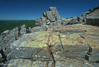 中阿巴拉契亞省低海拔酸性非血管懸崖/博爾德菲爾德 — CEGL 004142 中阿巴拉契亞省低海拔酸性非血管懸崖/博爾德菲爾德 — CEGL 004142