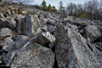 中阿巴拉契亞省低海拔酸性非血管懸崖/博爾德菲爾德 — CEGL 004142 中阿巴拉契亞省低海拔酸性非血管懸崖/博爾德菲爾德 — CEGL 004142