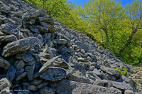 中央阿巴拉契亞鎂鐵質非血管懸崖 / 巨石場 – CEGL 004143 中央阿巴拉契亞鎂鐵質非血管懸崖 / 巨石場 – CEGL 004143