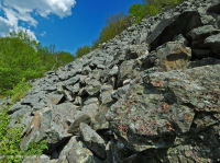 中央阿巴拉契亞鎂鐵質非血管懸崖 / 巨石場 – CEGL 004143 中央阿巴拉契亞鎂鐵質非血管懸崖 / 巨石場 – CEGL 004143