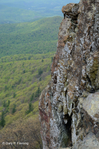 中央阿巴拉契亞鎂鐵質非血管懸崖 / 巨石場 – CEGL 004143 中央阿巴拉契亞鎂鐵質非血管懸崖 / 巨石場 – CEGL 004143